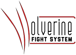 Image result for Wolverine MMA