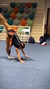 Image result for Heathrow Aerobics Gymnastics Club
