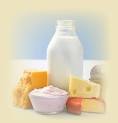 Wisconsin Dairy Products Association