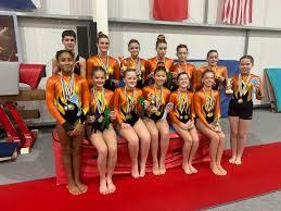 Image result for Kestrel Gymnastic Group