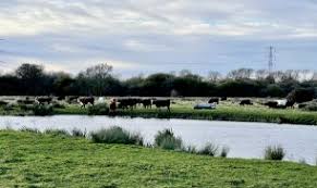 Image result for Staines Ramblers Group