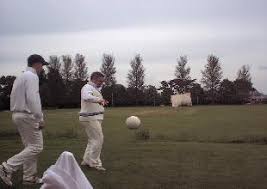 Image result for Cranleigh St Andrews Cricket Club