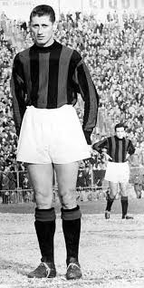 Resultado de imagen para schiaffino