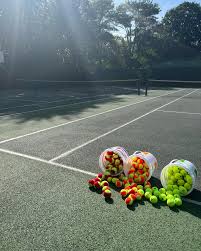 Image result for Woking Lawn Tennis Club