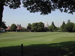 Image result for The Paddock Cricket Club