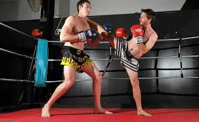 Image result for Vipers Thai/Kickboxing School