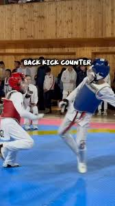 Image result for Suwanee Martial Arts Center