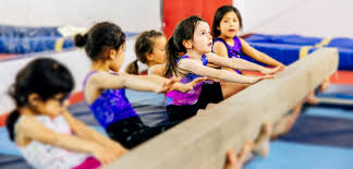 Image result for Ingleby Gymnastics Club
