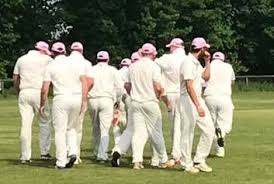 Image result for Bere Regis Cricket Club