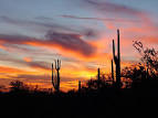 Search Green Valley AZ Homes By Price
