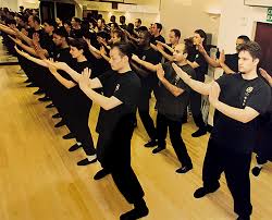 Image result for Kung Fu Wing Chun Club - University of Birmingham Sport