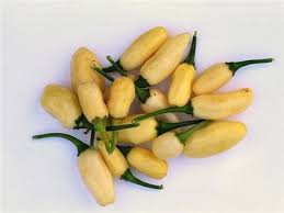 Afbeeldingsresultaat voor white habanero hot pepper