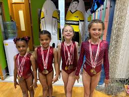 Image result for Flyin Scots Aerobic Gymnastics Club