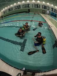 Image result for Worcester Divers Octopush Club