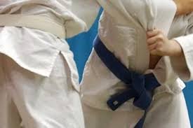 Image result for Harris Judo Club