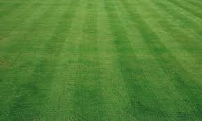 Image result for Gransden and District Bowls Club