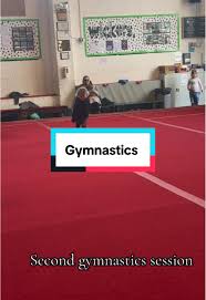 Image result for Wickers Gymnastics Club