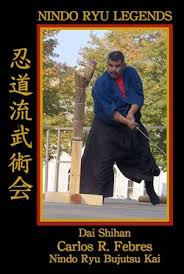 Image result for Ronin Yudansha Ryu