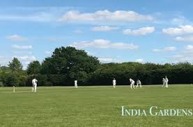 Image result for Hampole & Skelbrooke Cricket Club