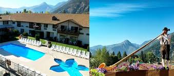 Image result for Enzian