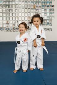 Image result for Witney Taekwondo