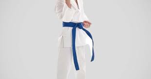 Image result for Bytomic Taekwondo