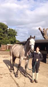 Image result for Bookham Riding Club