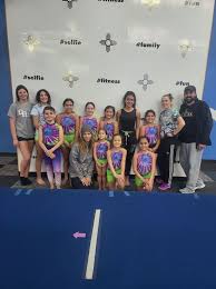 Image result for Elite Recreational Gymnastics Club