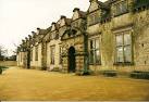 Cavalier courtier William - via Daymix