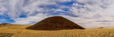 Attēlu rezultāti vaicājumam “Craterium sp.”