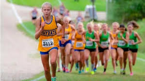 Image result for Abbey Runners