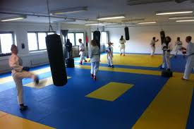 Image result for Reading Karate-Do Shotokai