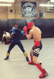 Image result for Team Renegade BJJ & Judo