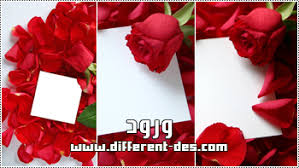 ورود رومانسيه*** Images?q=tbn:ANd9GcS8Tov9CxX4YC4GN3bfdBaVi0C7B5VXzOYs-JfIVMqfbegSNLsk