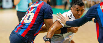 Image result for Deva Handball Club