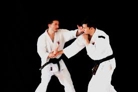Image result for Holboln Shorinji Kempo Club