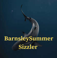 Image result for Borough Of Barnsley Swimming Club