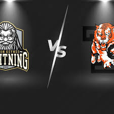 Image result for Telford Tigers