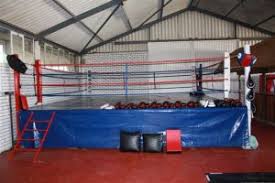 Image result for Scorpion Martial Arts Academy