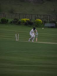 Image result for Selby Londesborough Cc