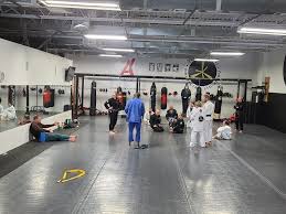 Image result for United Dojos Kickboxing