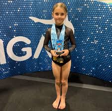 Image result for Aylesbury School Of Gymnastics