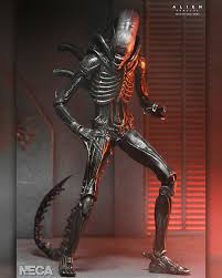 Image result for xenomorph