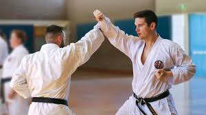 Image result for Maidenhead Karate Club