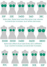 Image result for tette