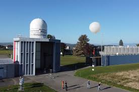 Attēlu rezultāti vaicājumam “Ochropsora ariae spores”