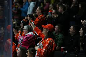 Image result for Sheffield Steelers