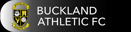 Image result for Buckland & Milber Football Club