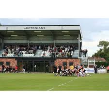 Image result for Luctonians Cricket Club
