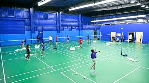 Image result for Tykes Badminton Club